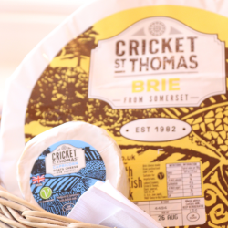 Cricket St Thomas Cheese
