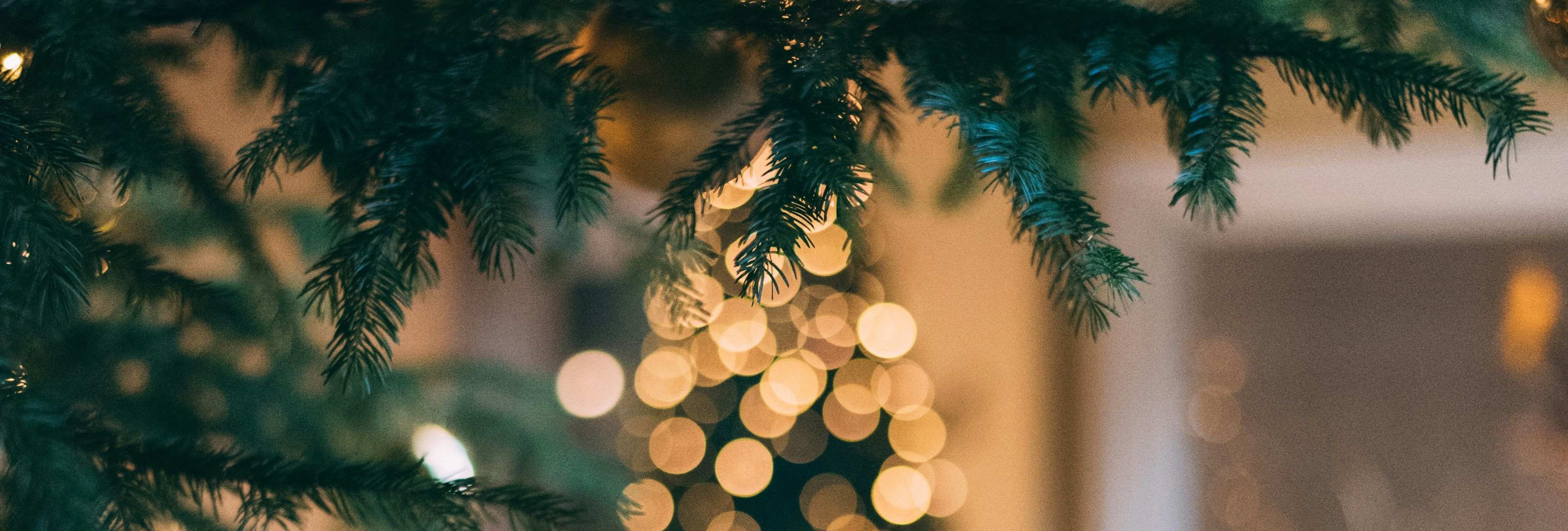 mourad-saadi-ZXbeOqF1NFQ-unsplash (4)