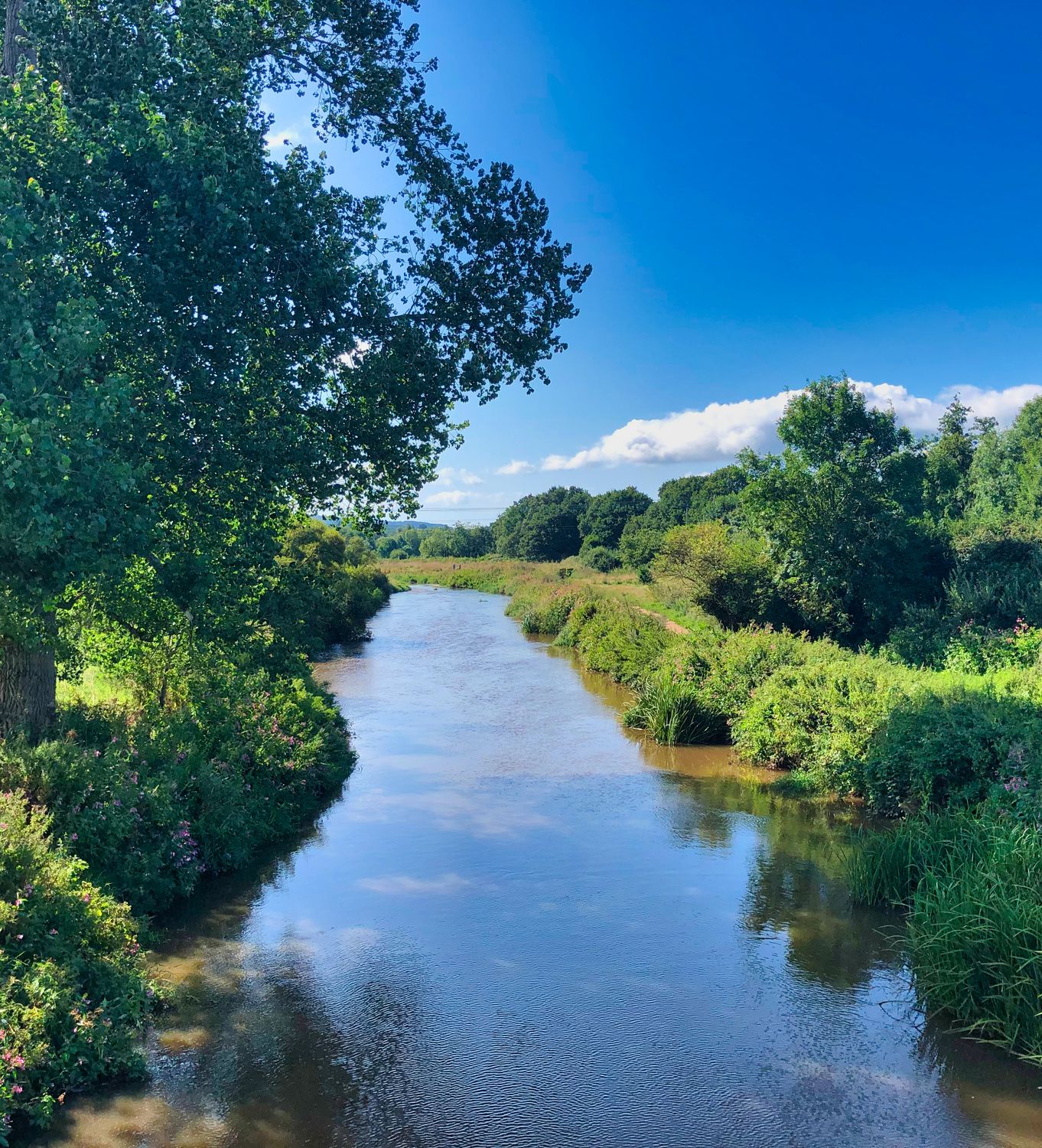 River Otter at Ottery St Mary