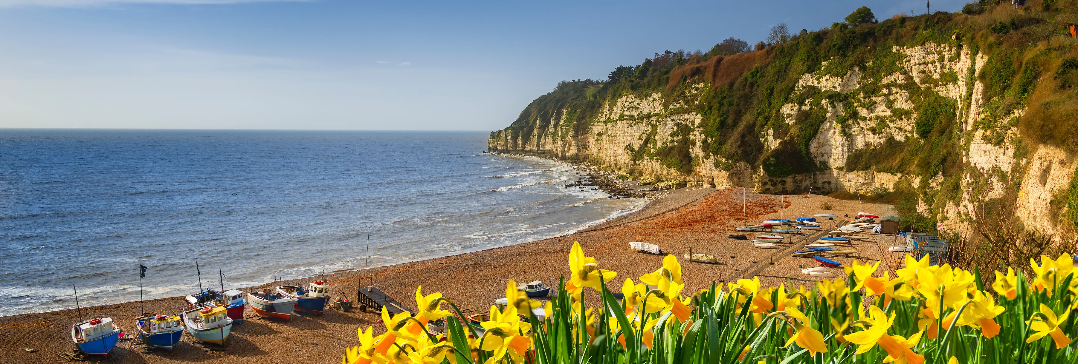 Early morning sunlight illuminates the pebbles of the beach at Beer in Devon