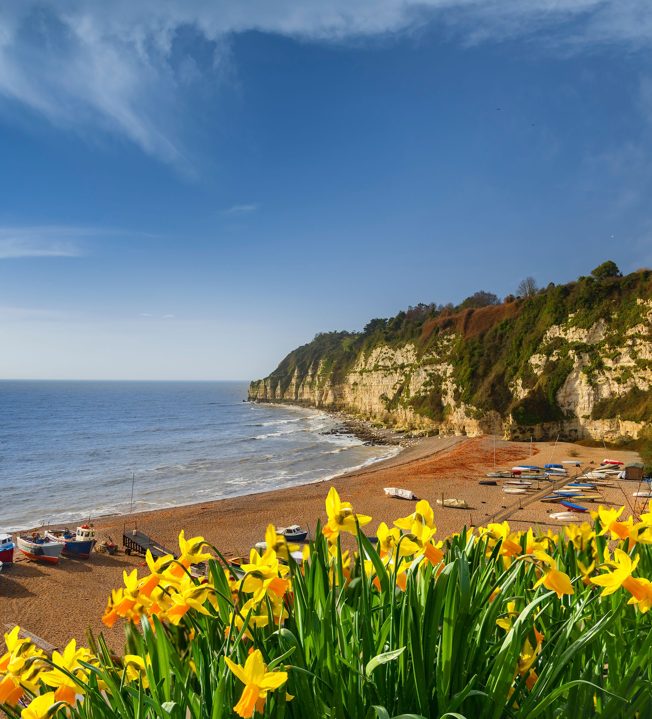 Early morning sunlight illuminates the pebbles of the beach at Beer in Devon