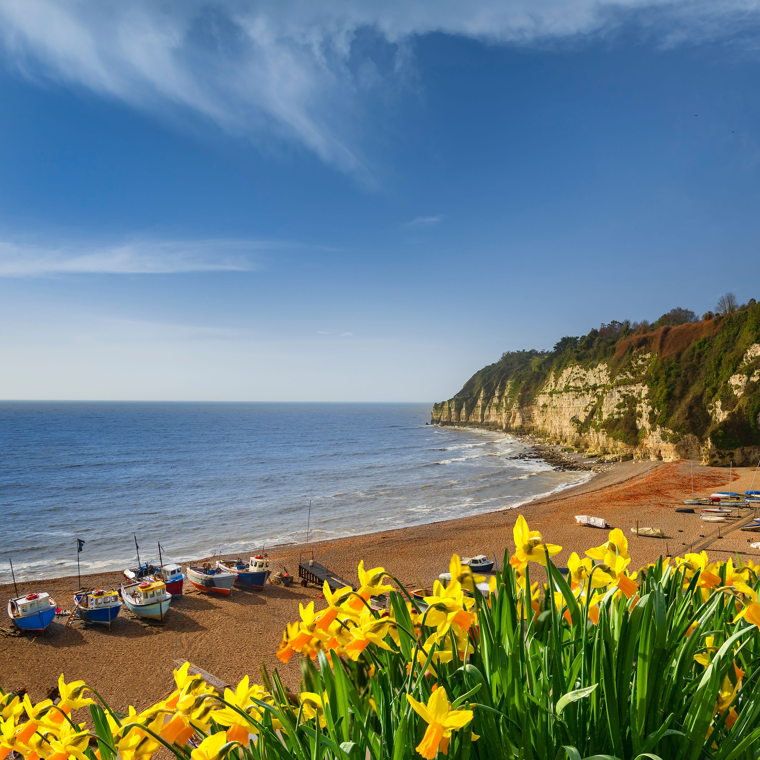 Early morning sunlight illuminates the pebbles of the beach at Beer in Devon