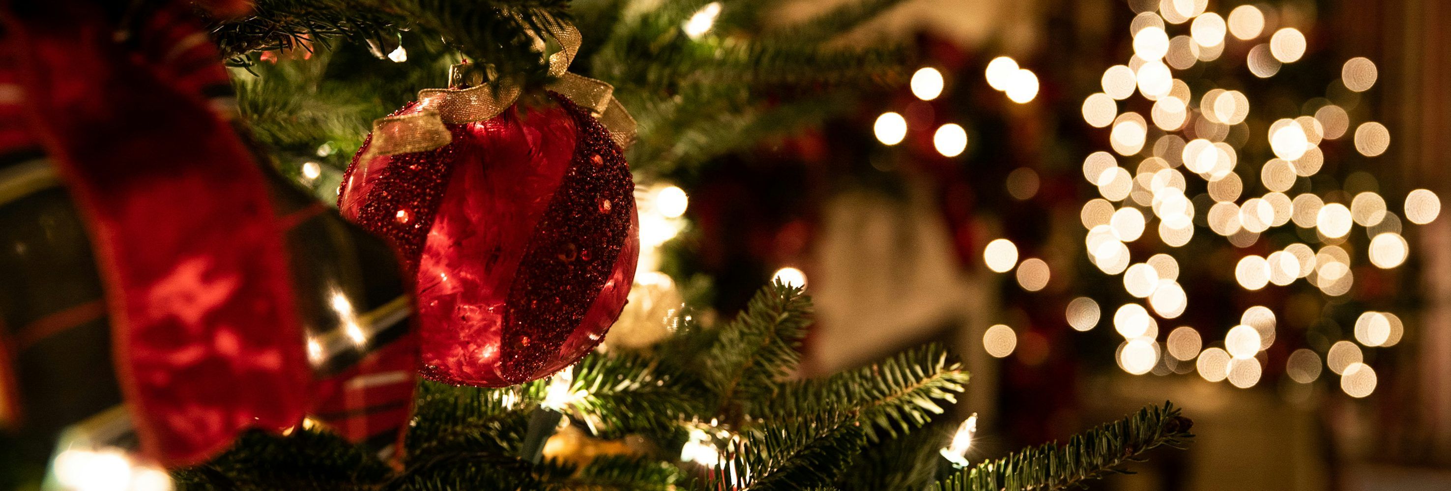 Close up of bubbles on Christmas tree