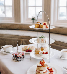 Afternoon tea and cake
