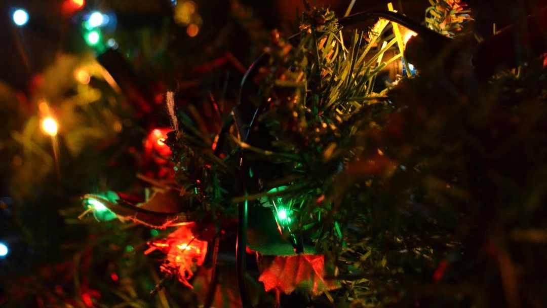 Close-up of colorful Christmas lights on a decorated tree