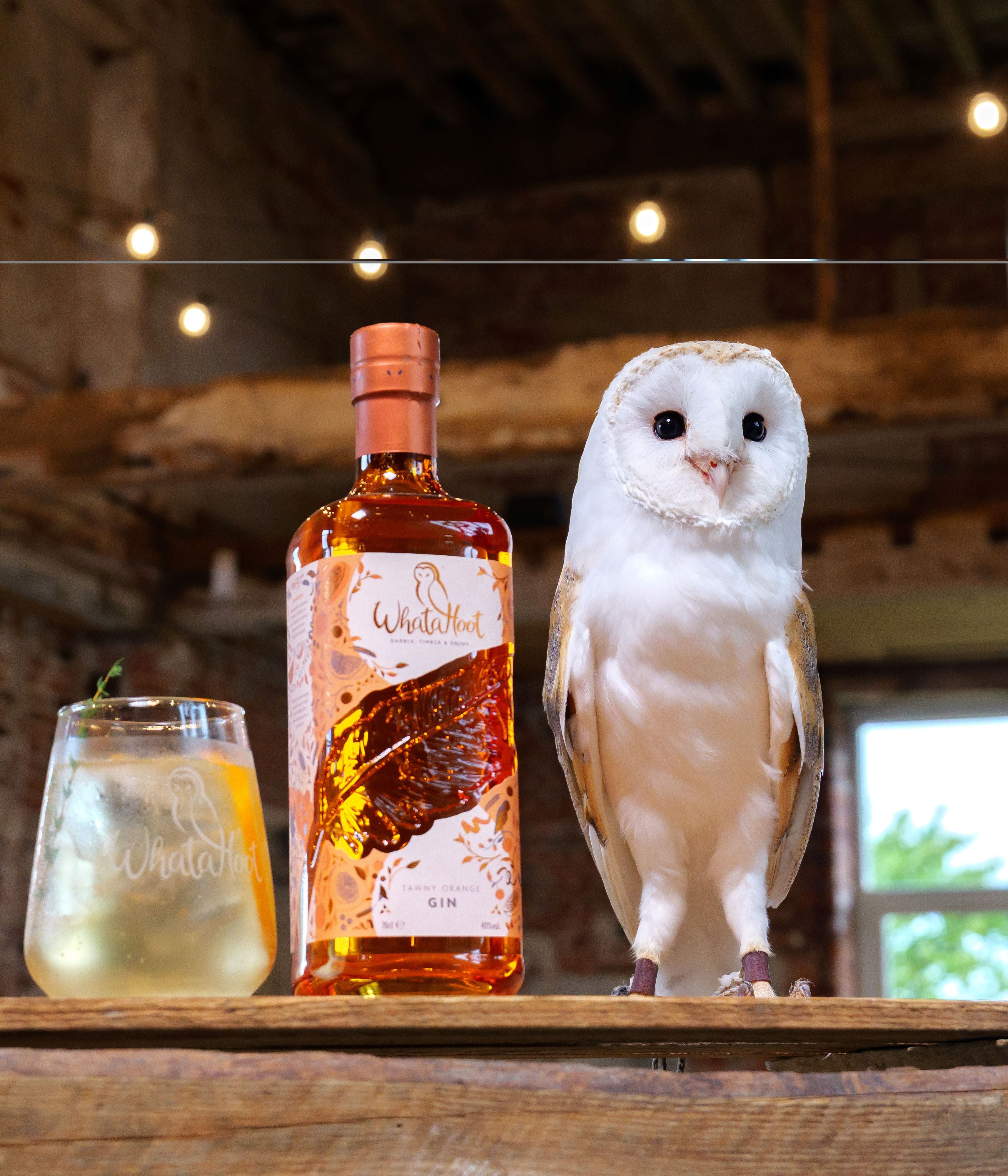 A bottle of WhataHoot gin, a glass of drink, and a barn owl on a wooden crate in a rustic setting.