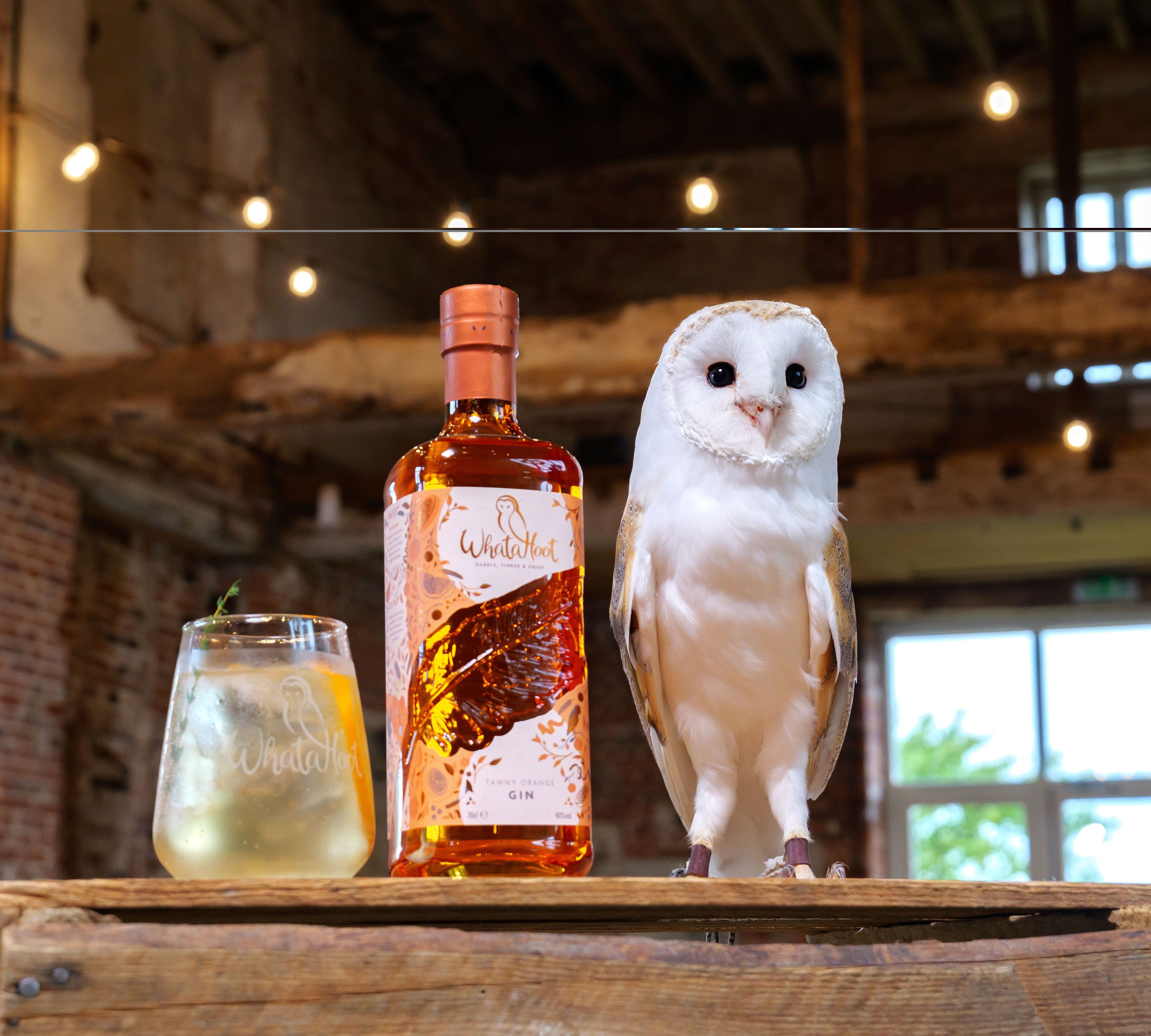 A bottle of WhataHoot gin, a glass of drink, and a barn owl on a wooden crate in a rustic setting.