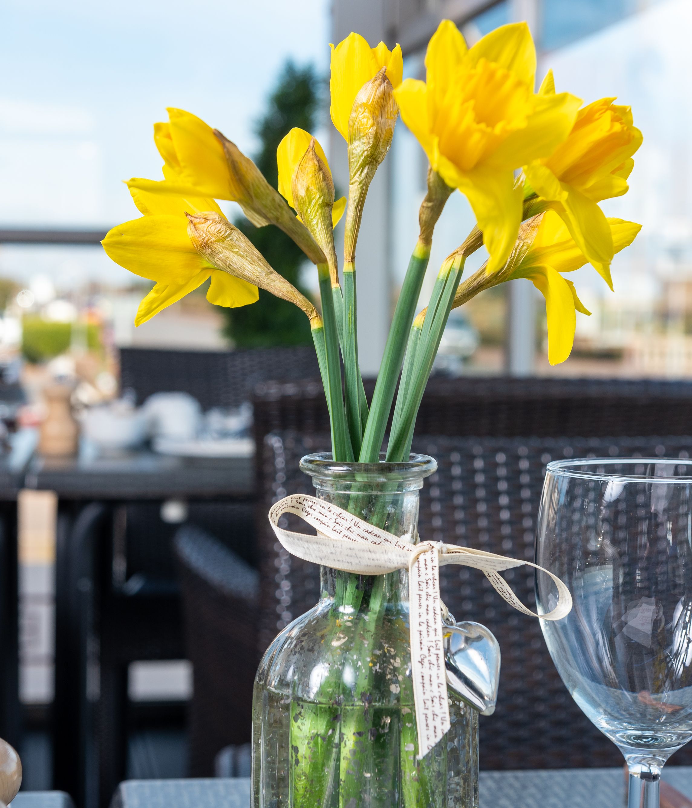 Yellow daffodils in a glass vase on an outdoor restaurant table, with a wine glass and blurred background.