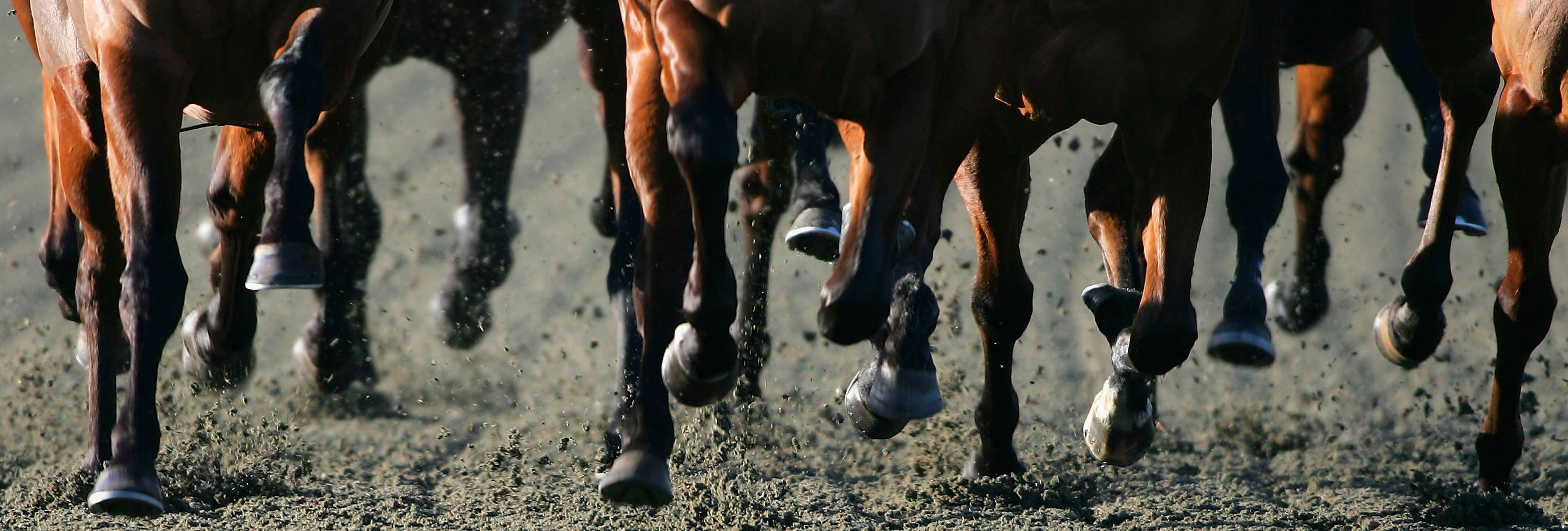 GettyImages-51948795