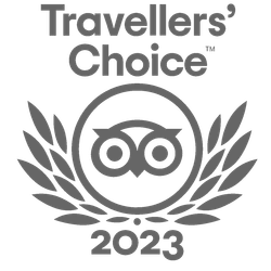 TripAdvisor-grey
