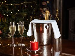 Wine cooler in front of Christmas tree