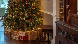 Living room with Christmas Tree