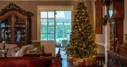 Living room with Christmas Tree