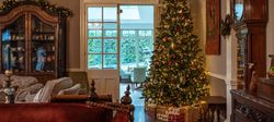 Living room with Christmas Tree