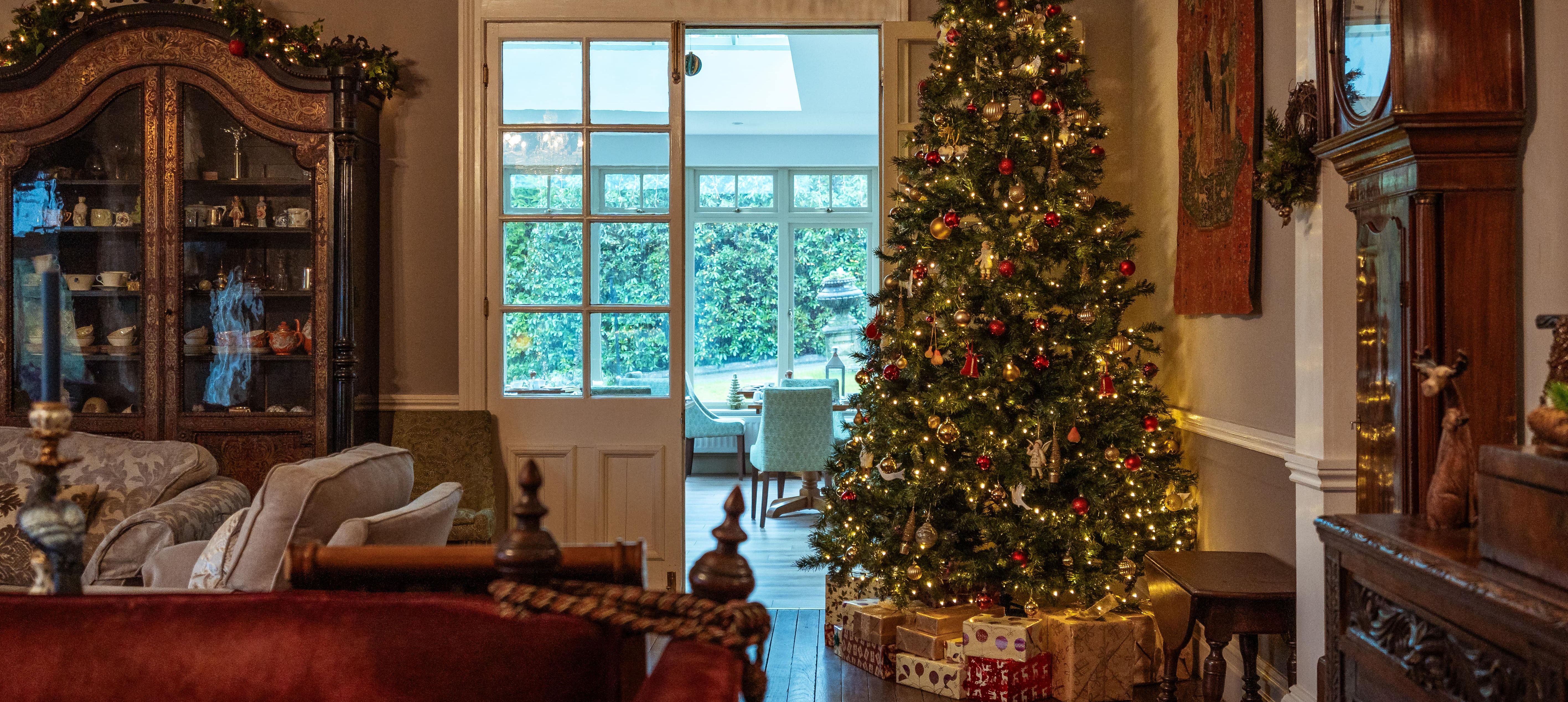 Living room with Christmas Tree