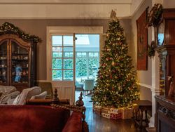 Living room with Christmas Tree