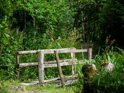 Gravel walkway with wooden fence