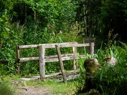 Gravel walkway with wooden fence