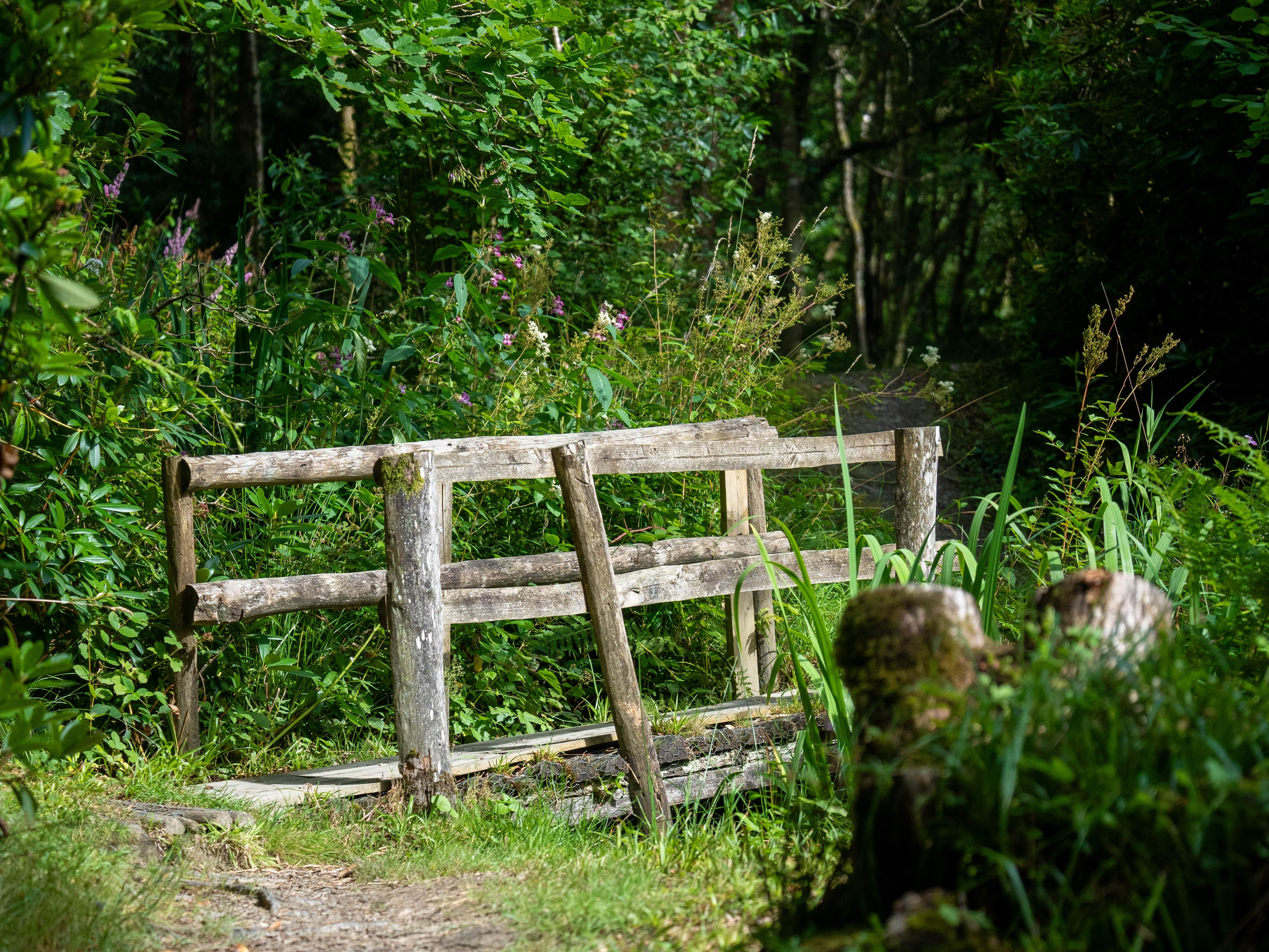 Gravel walkway with wooden fence