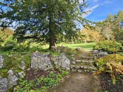 Gardens with rocky steps onto grass field