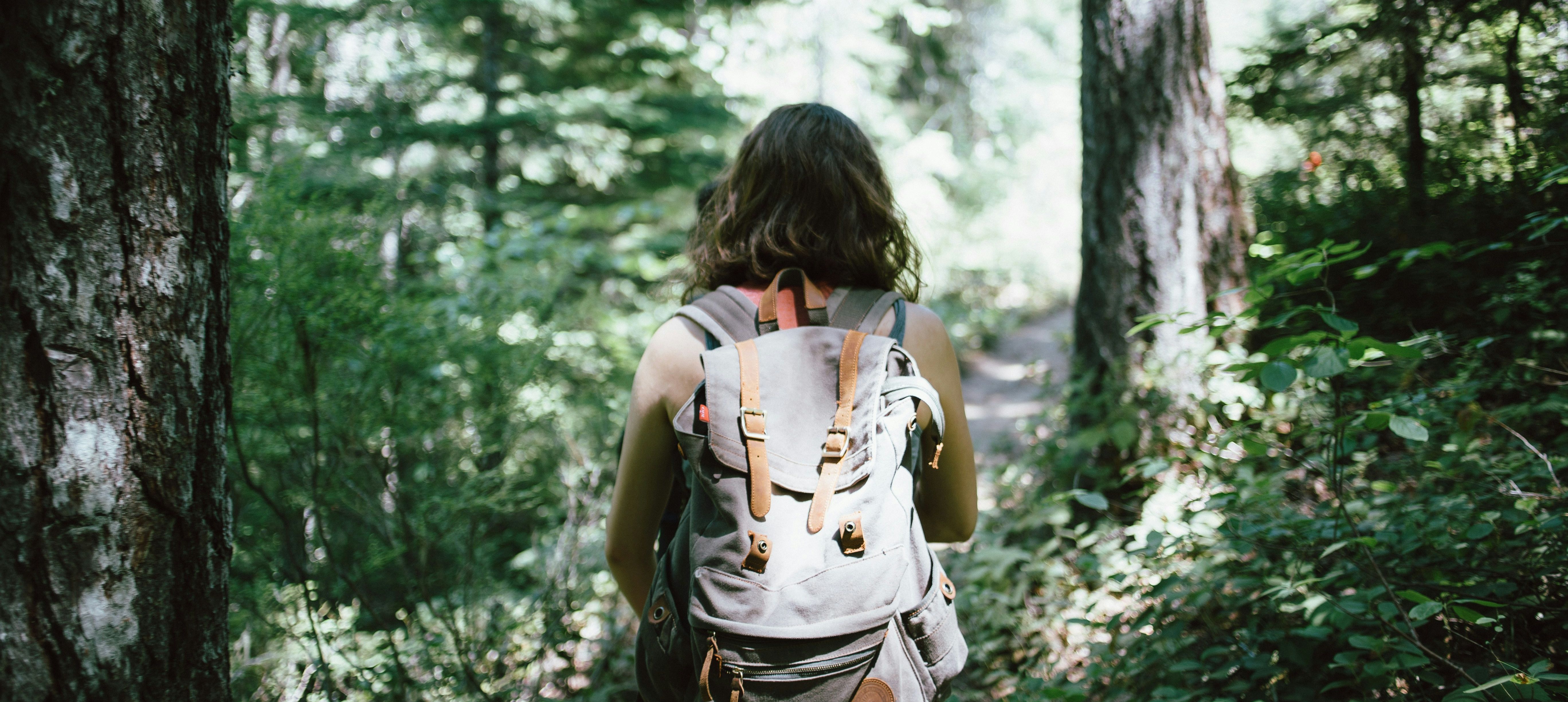 Person walking Forest