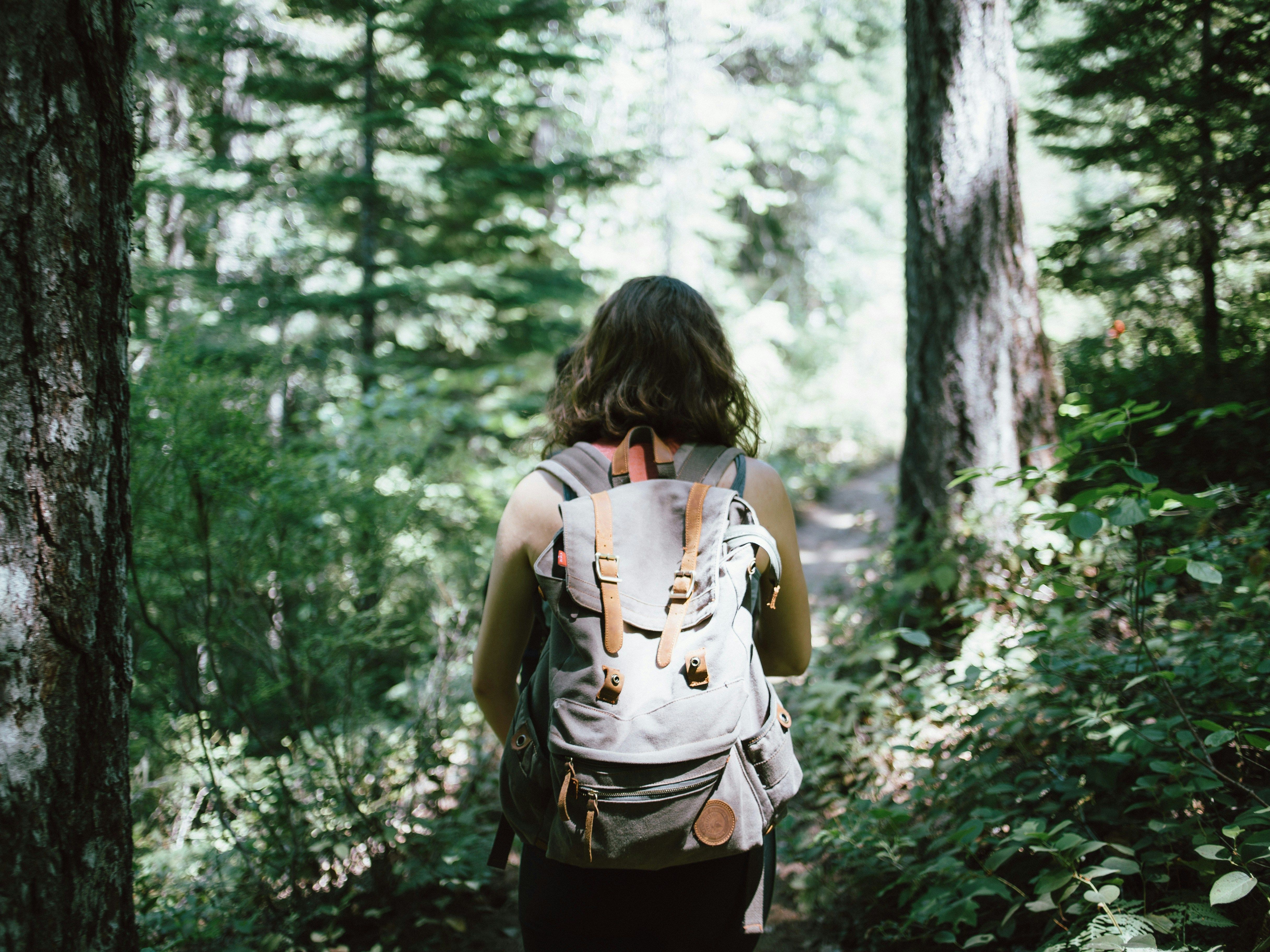 Person walking Forest