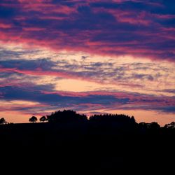 Sunset with trees in the for ground