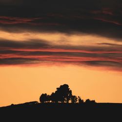 Sunset with trees in the for ground