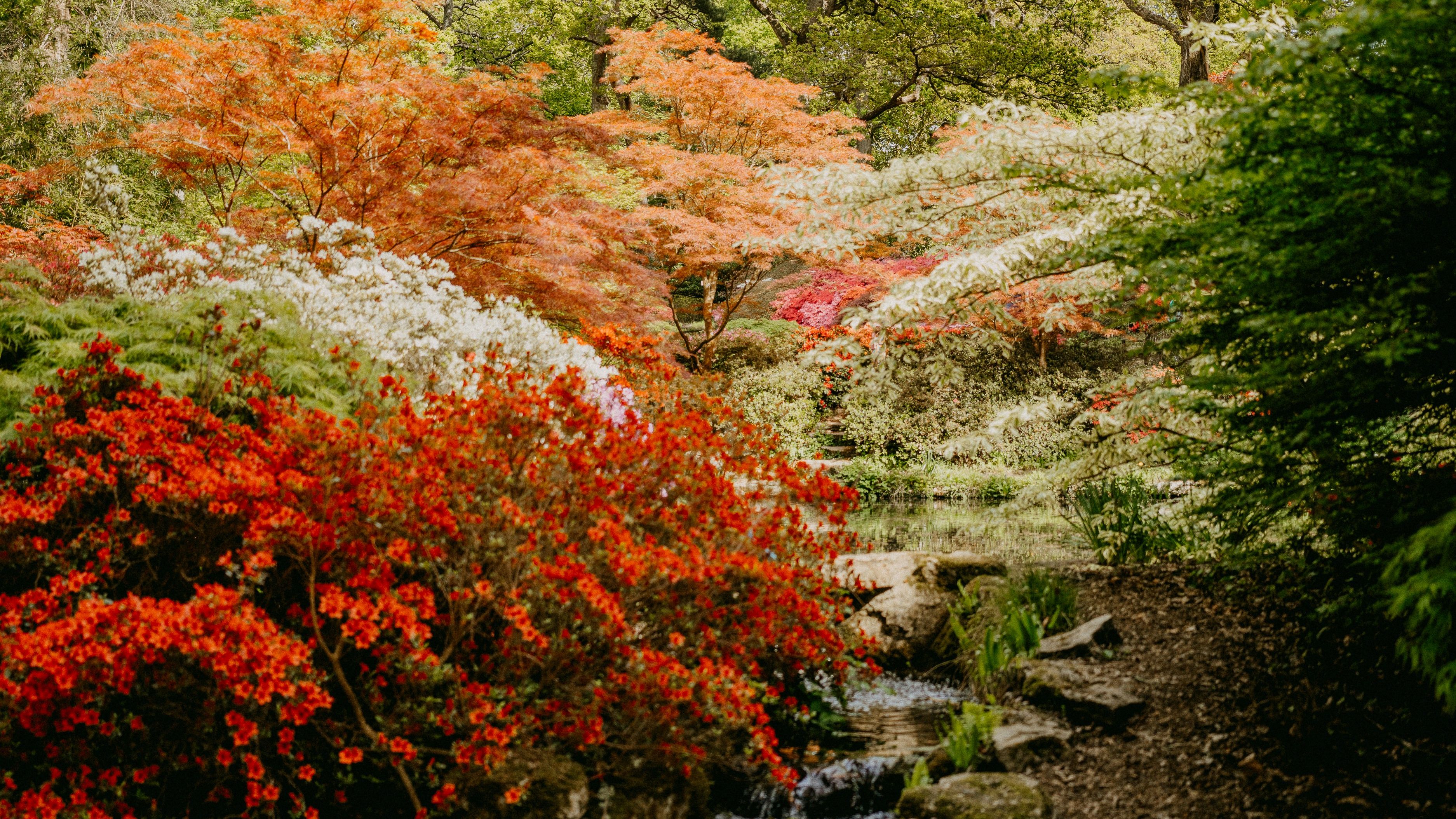 Floral Garden with stream running down rocky path