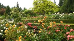 Floral botanic garden