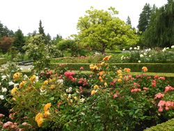 Floral botanic garden