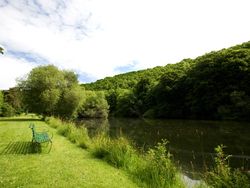Bench looking onto lake surrounded by greenary