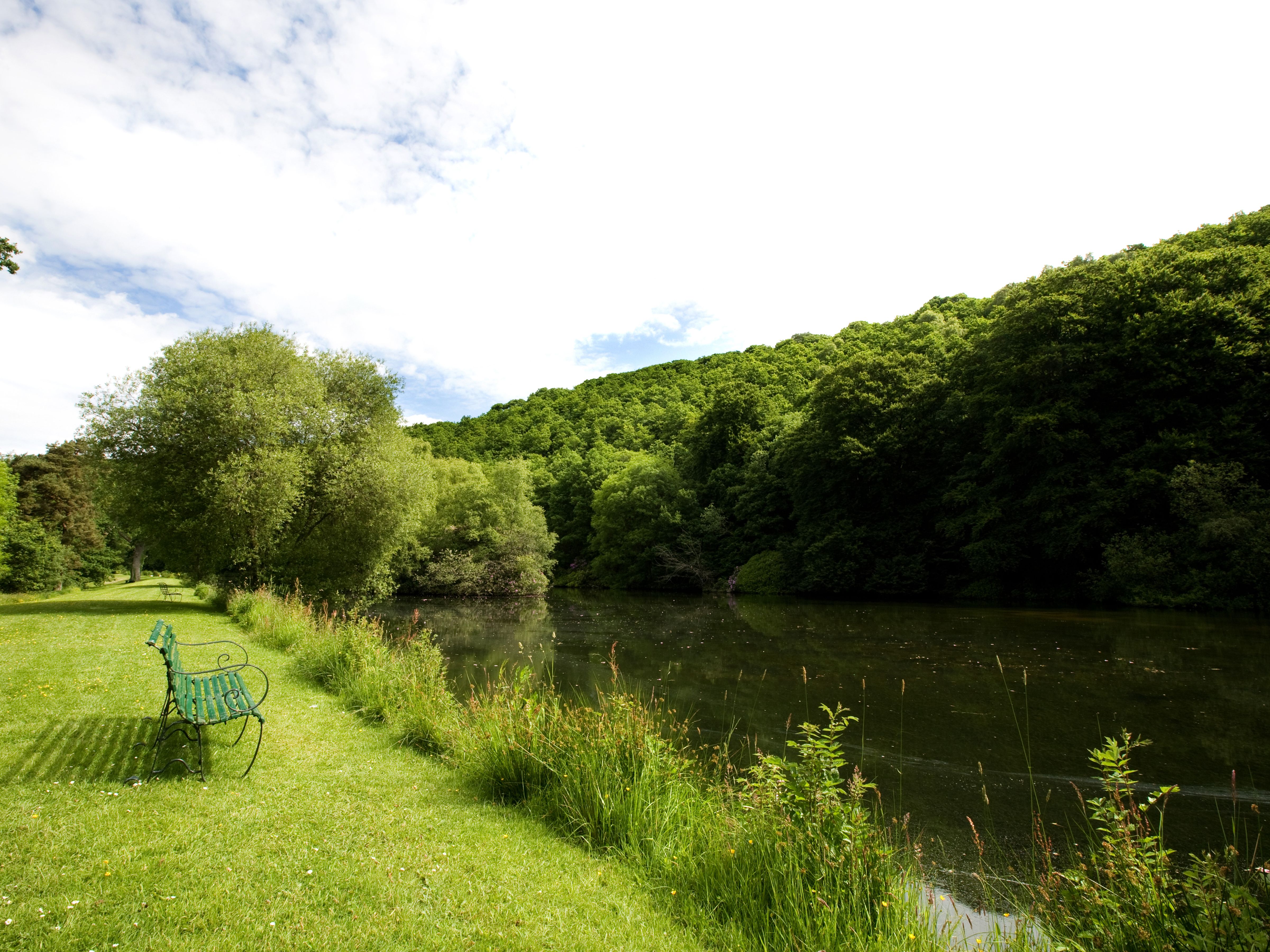 Bench looking onto lake surrounded by greenary