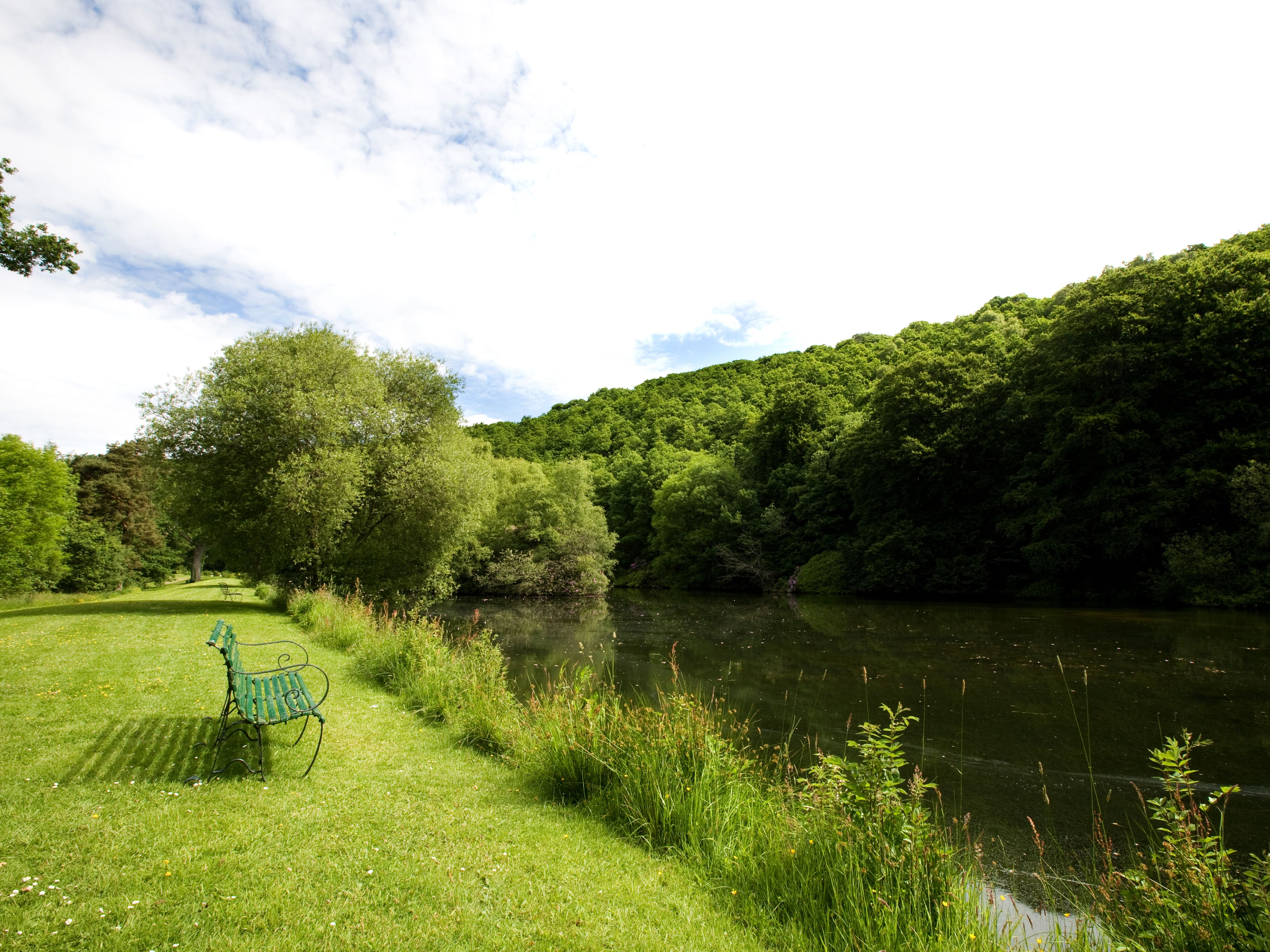 Bench looking onto lake surrounded by greenary