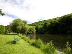 Bench looking onto lake surrounded by greenary