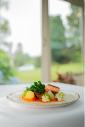 Plate of neatly presented food