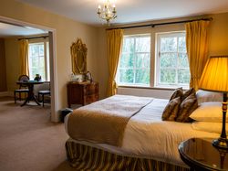 Double bed with gold theme looking onto sitting area in room