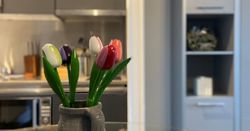 Willow Tulips