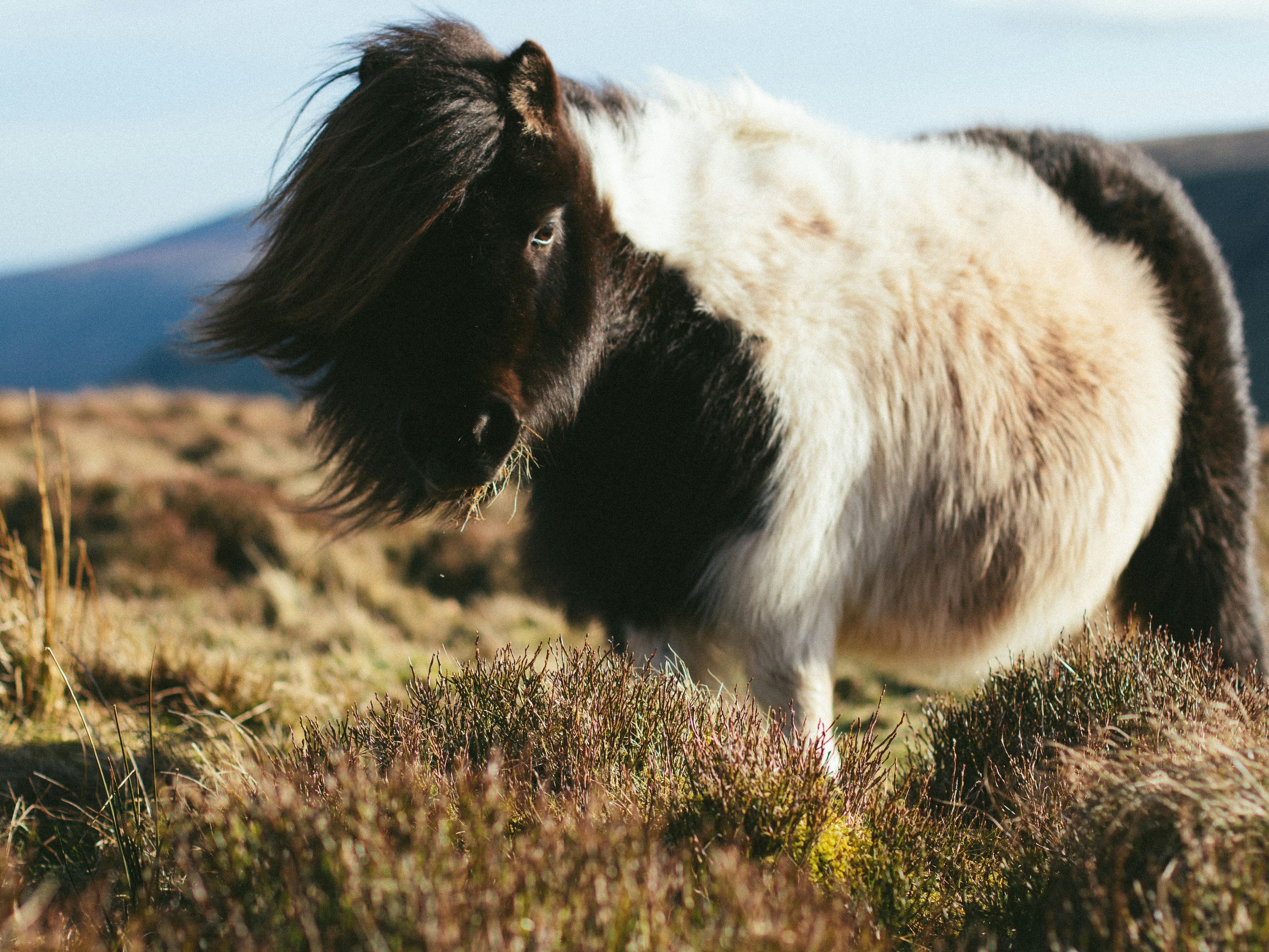 mike-erskine-tnfipE2Pwdw-unsplash