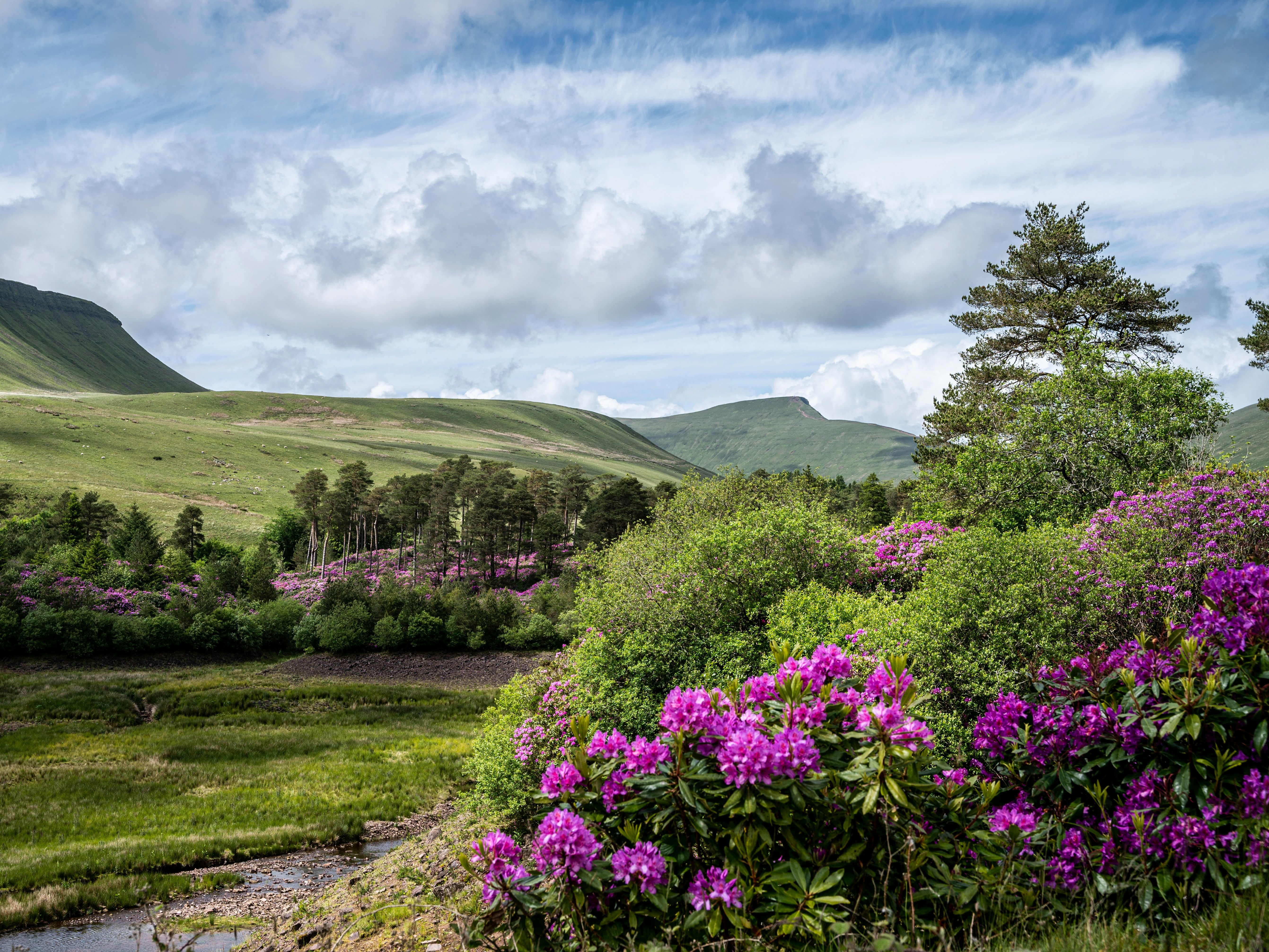 mark-fairhurst-AXPMwA_fe5U-unsplash