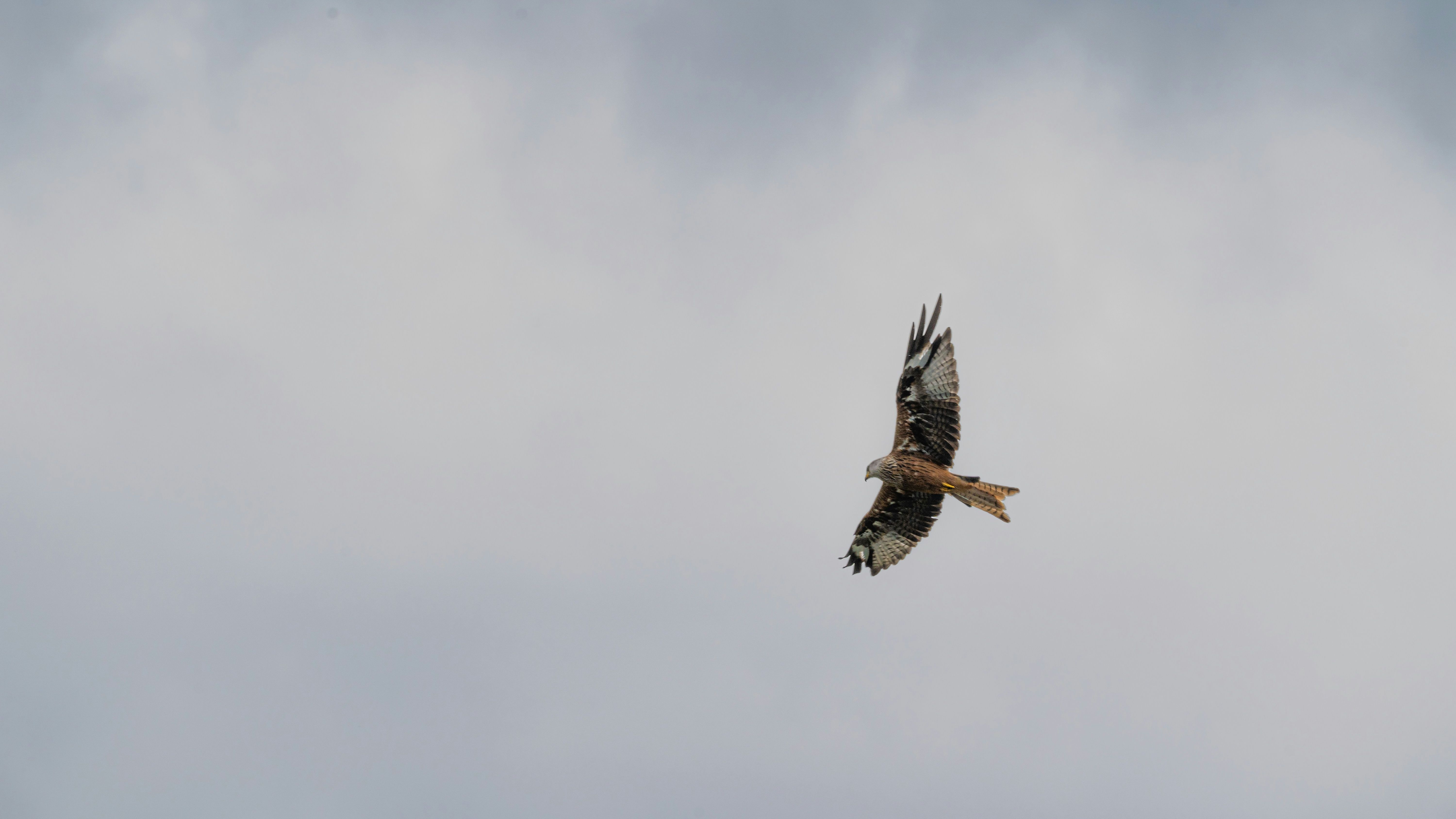 jonny-gios-SVYQZKiweXs-unsplash