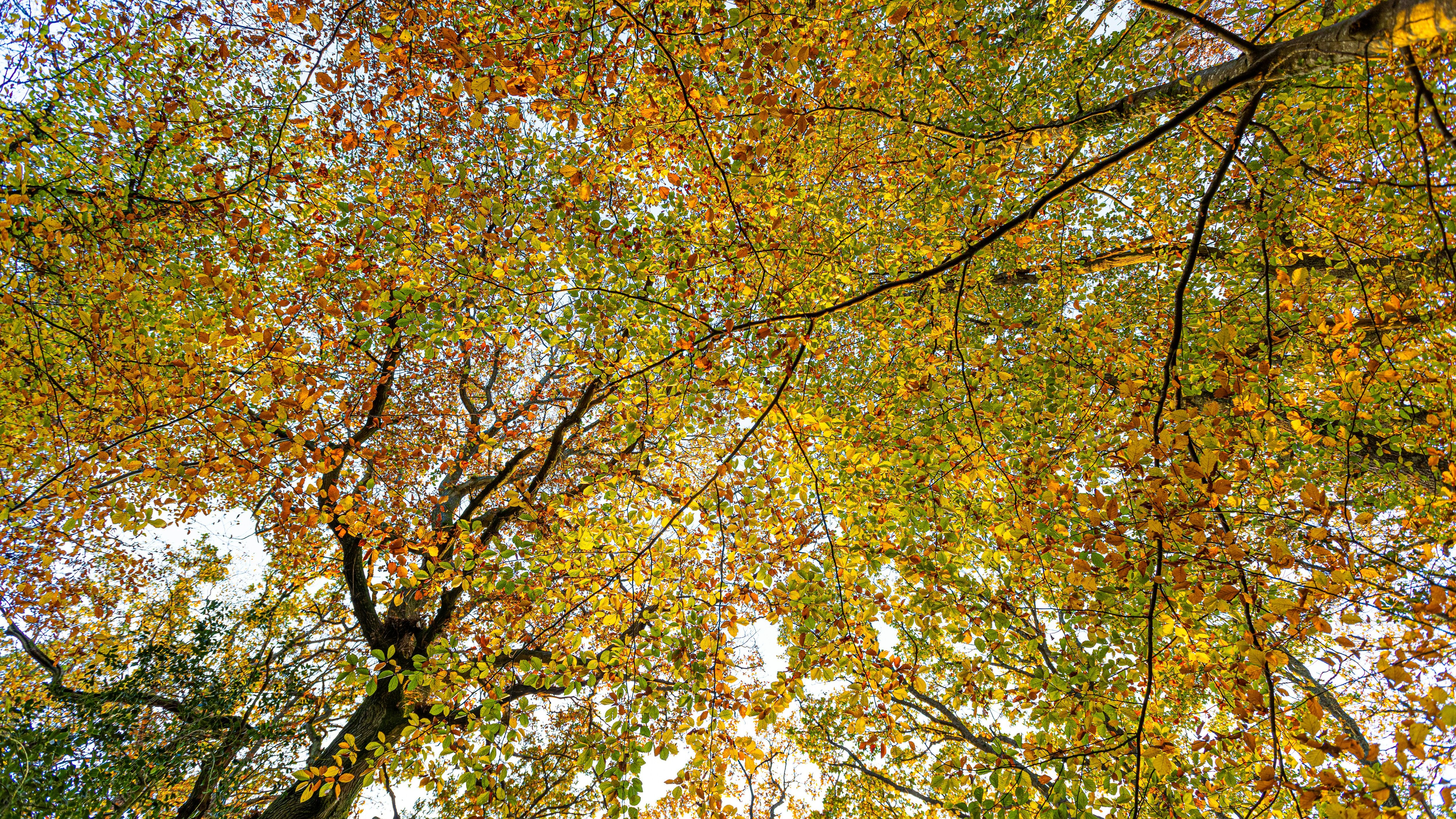 mike-erskine-0WzJps0btcs-unsplash