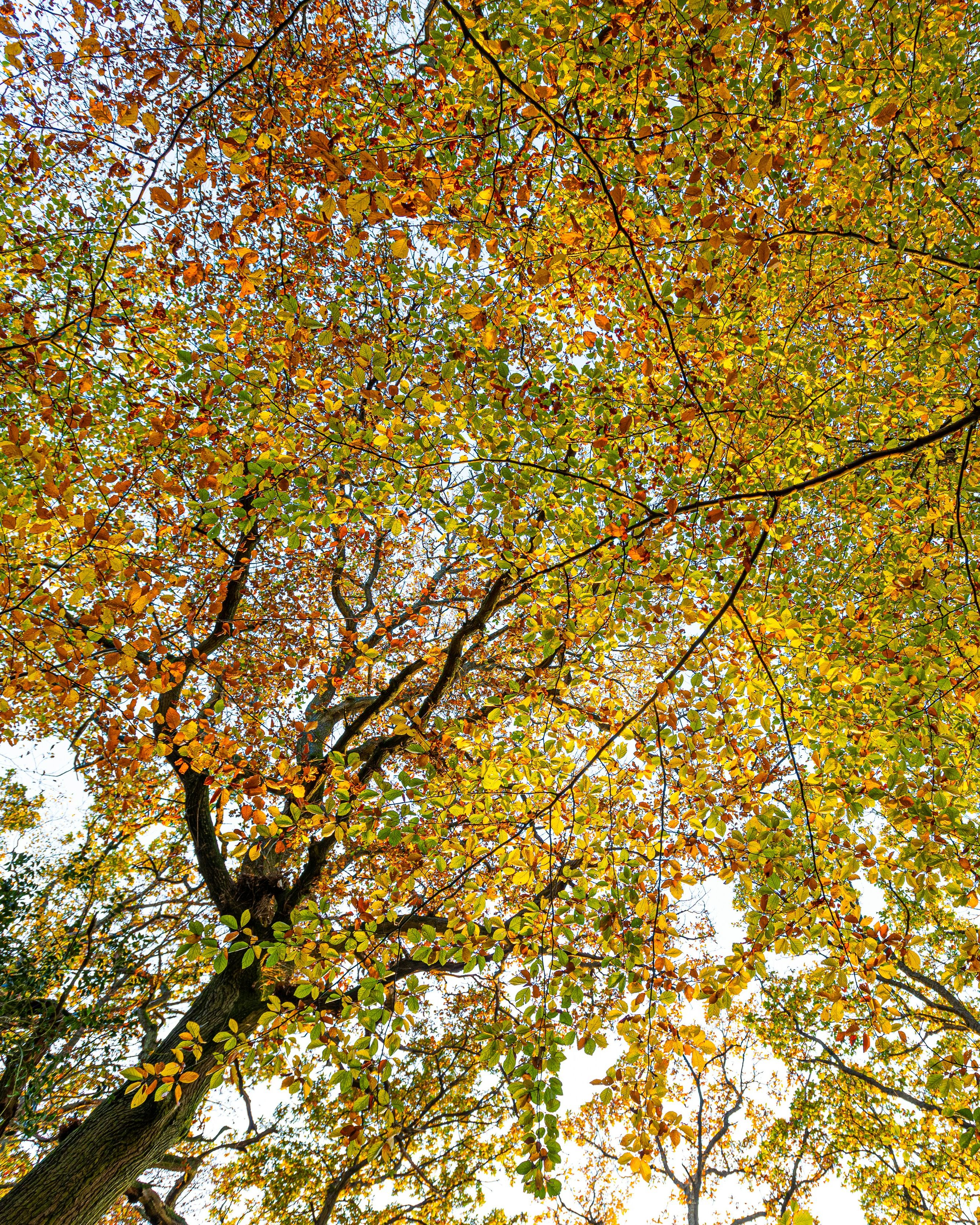 mike-erskine-0WzJps0btcs-unsplash