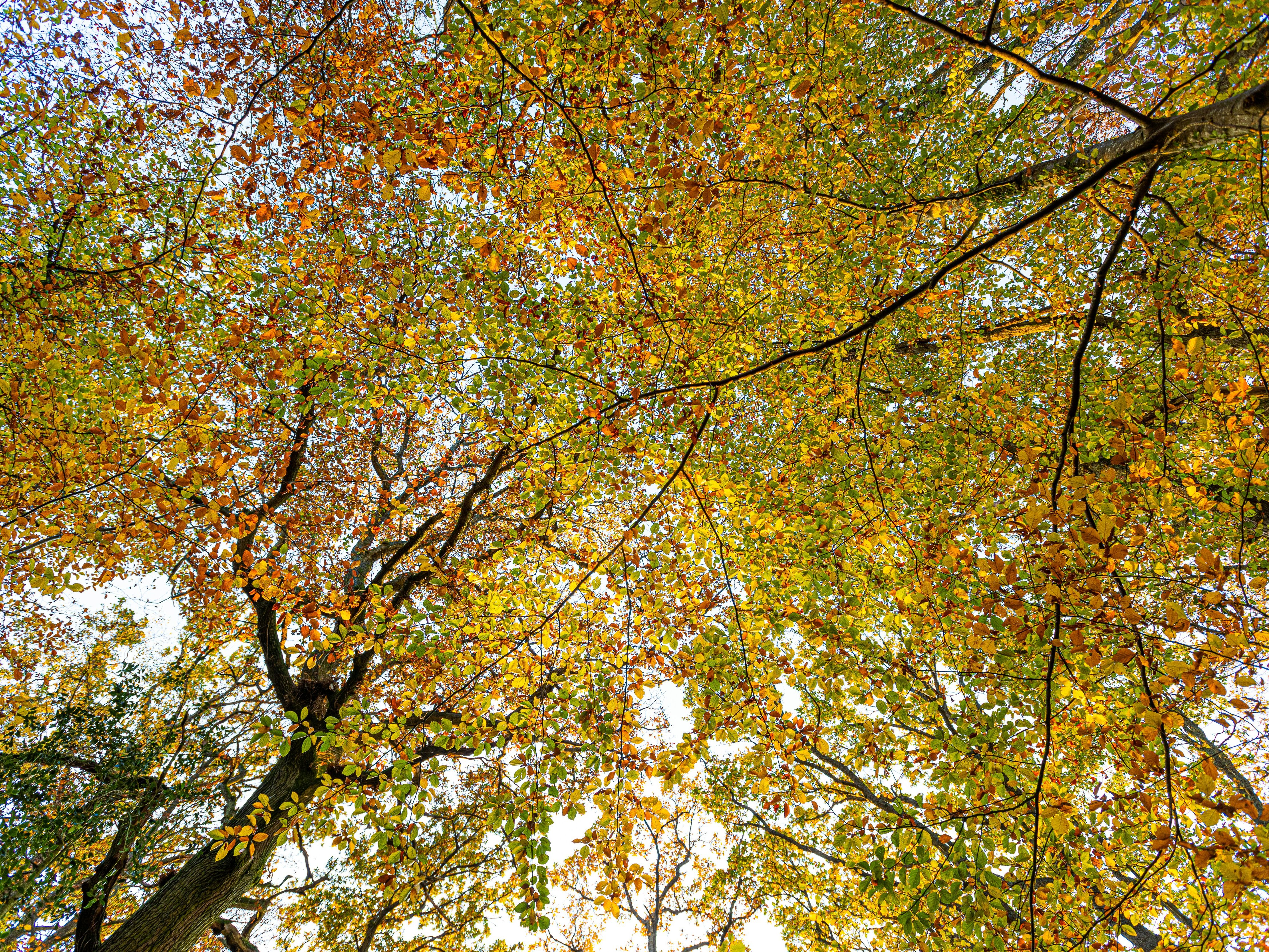 mike-erskine-0WzJps0btcs-unsplash