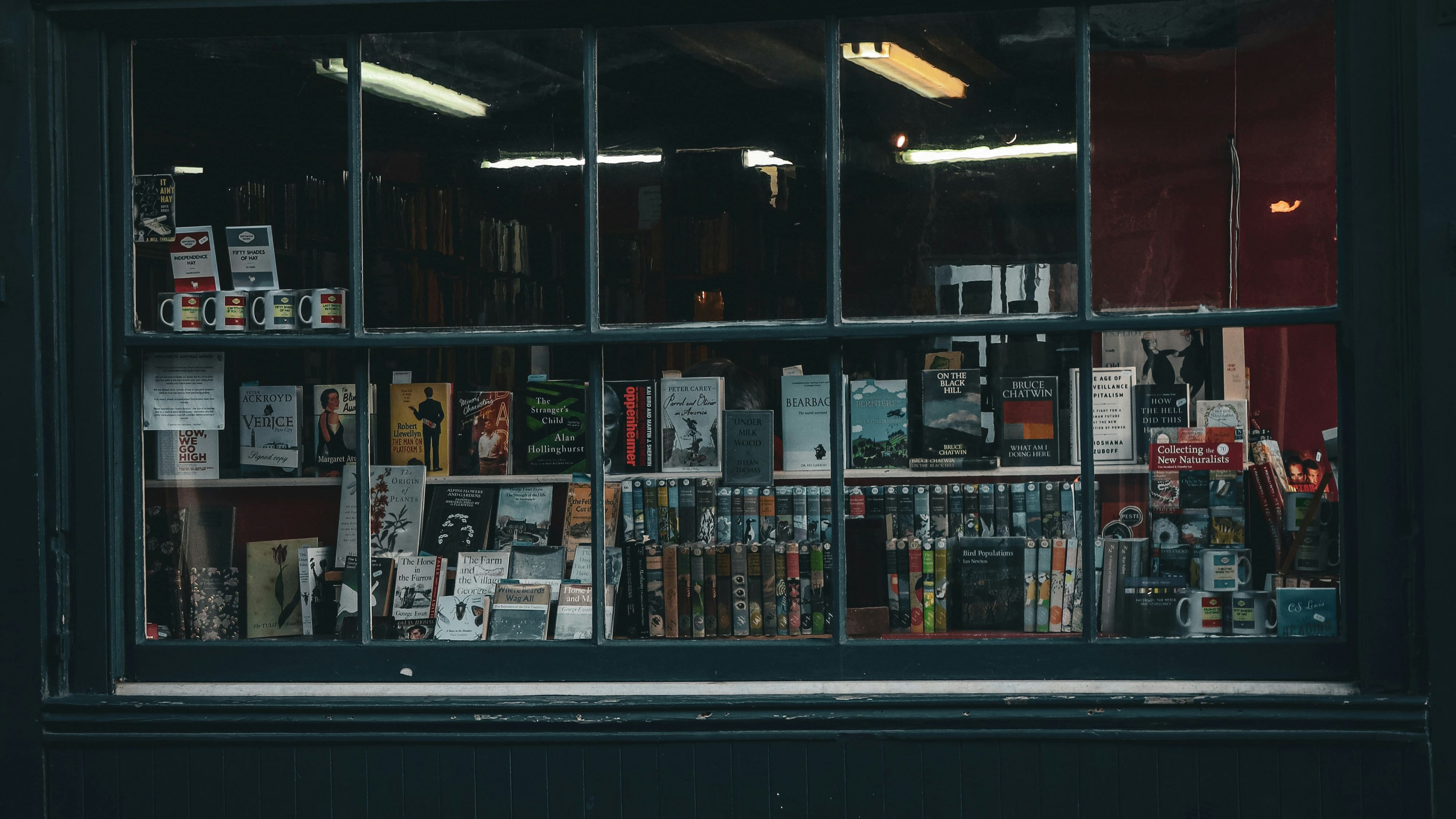 yukon-haughton-LtM2tUYYTnE-unsplash