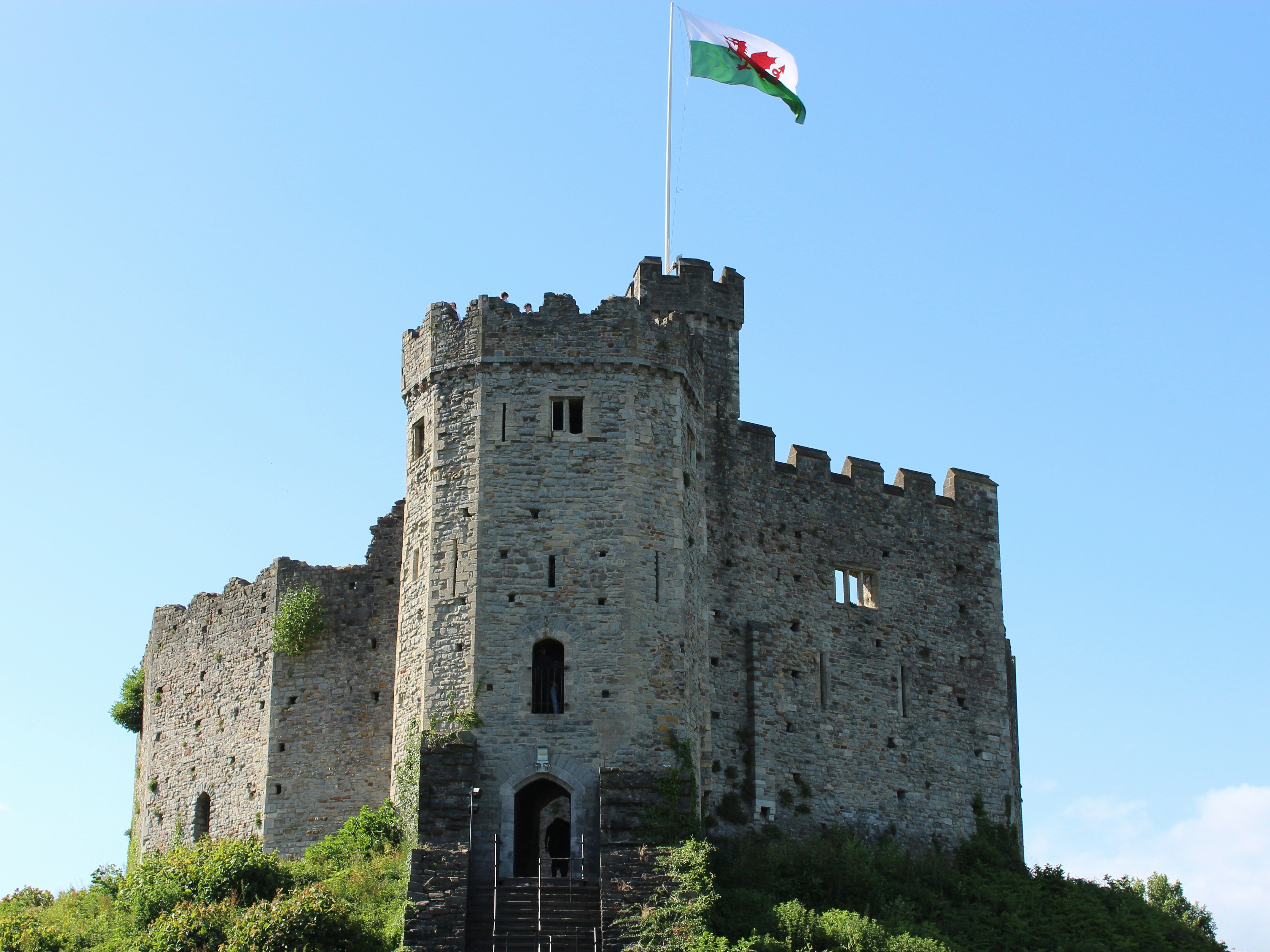 peyton-wells-_SFC9Y_xEr4-unsplash