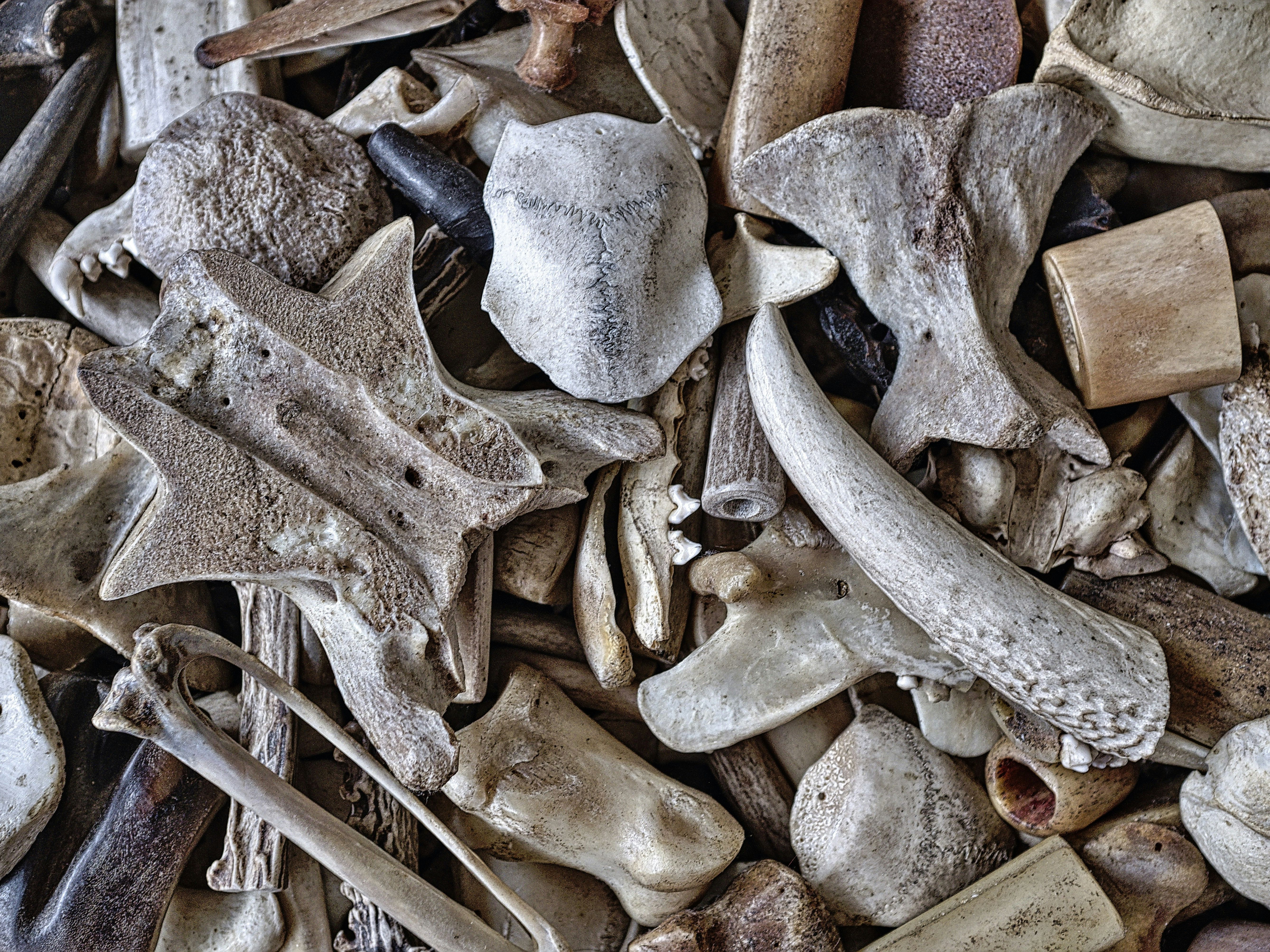 eric-prouzet-571YWyzVEok-unsplash