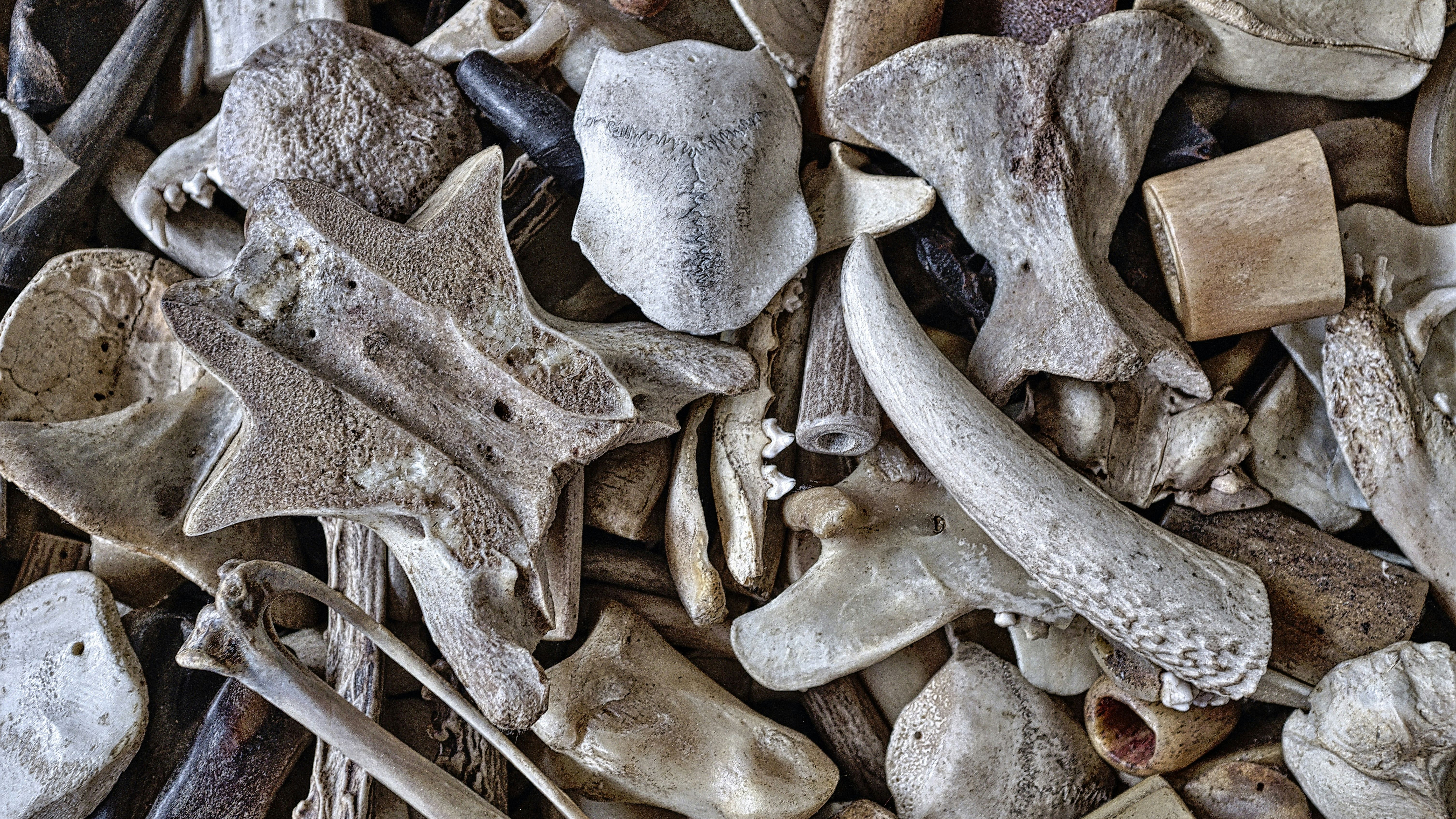 eric-prouzet-571YWyzVEok-unsplash