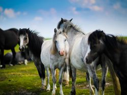 sammy-leigh-scholl-usk52YRwGrM-unsplash