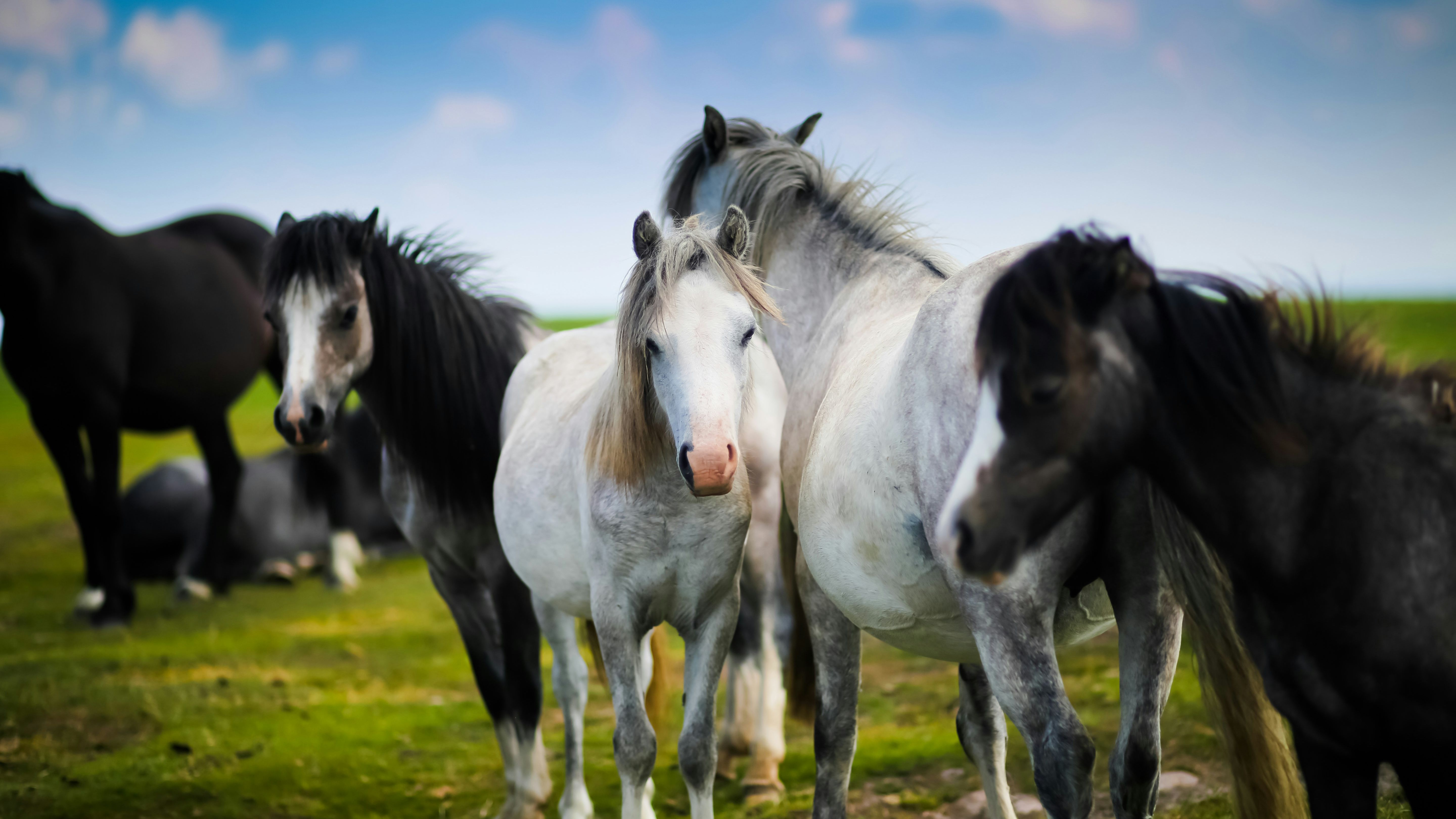 sammy-leigh-scholl-usk52YRwGrM-unsplash